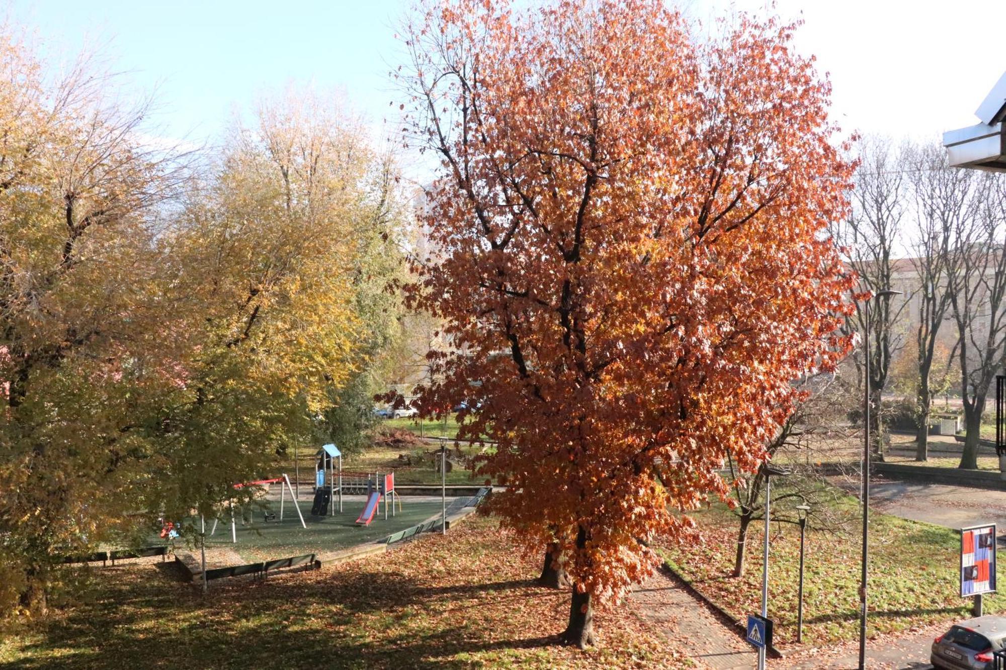 Appartamento Milano, Bovisa Politecnico, Dergano Metropolitana, Wifi - Garden Ngoại thất bức ảnh